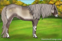 Horse Color:Silver Blue Onyx Roan  and Silver Blue Onyx Roan 
