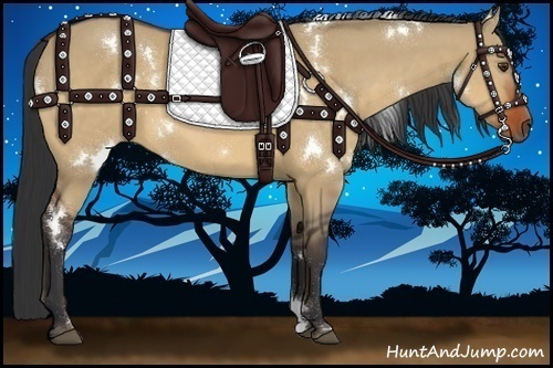 Horse Color:White Spotted Bay Dun 