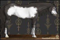 Horse Color:Liver Chestnut Sabino Frame 