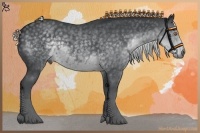 Horse Color:Silver Black Chinchilla
