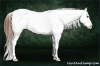Horse Color:Brown Ice Fewspot