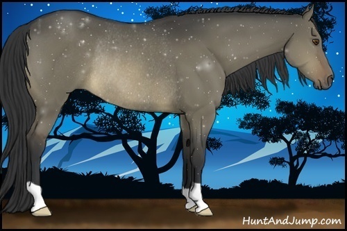 Horse Color:Brown Dun Rabicano