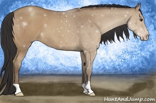 Horse Color:Classic Champagne