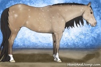 Horse Color:Classic Champagne 