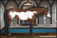 Horse Color:Bay Frame