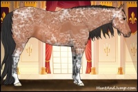 Horse Color:Bay Ice 