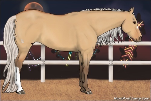 Horse Color:Silver Bay Dun 