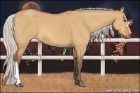 Horse Color:Silver Bay Dun 