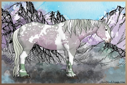 Horse Color:Watercolor White Spotted Silver Grullo Ice Splash Tobiano 