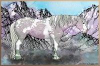 Horse Color:Watercolor White Spotted Silver Grullo Ice Splash Tobiano 