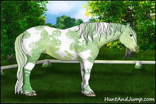 Horse Color:Watercolor White Spotted Silver Brown Ice Tobiano Frame Rabicano