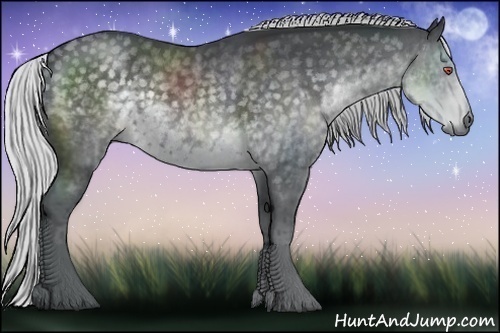 Horse Color:Silver Black Chinchilla  and Silver Black Chinchilla 