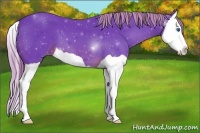 Horse Color:Watercolor Chestnut Splash 