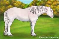 Horse Color:Watercolor Gold Cream Champagne Onyx 
