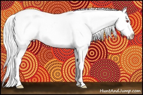 Horse Color:Bay Chinchilla Roan Onyx Appaloosa