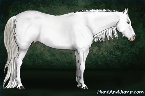 Horse Color:Liver Chestnut Mushroom Snowflake Varnish