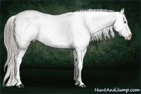 Horse Color:Liver Chestnut Mushroom Snowflake Varnish