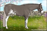 Horse Color:Silver Black Sabino 