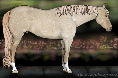 Horse Color:Chocolate Palomino Roan Dun 