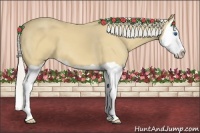 Horse Color:Silver Buckskin Splash