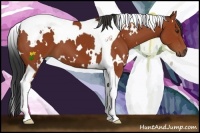 Horse Color:White Spotted Bay Tobiano 