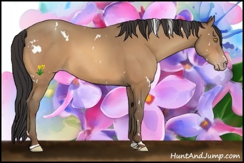 Horse Color:White Spotted Amber Champagne Sabino