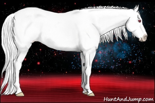 Horse Color:Silver Black Chinchilla Near Leopard