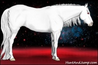 Horse Color:Silver Black Chinchilla Near Leopard
