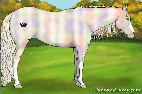 Horse Color:Nacre Gold Cream Champagne Pearl Dun