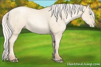 Horse Color:Silver Amber Cream Champagne Pearl