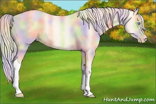 Horse Color:Nacre Silver Sable Cream Champagne Pearl
