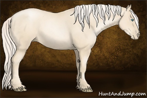 Horse Color:Gold Cream Champagne Pearl 