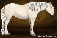 Horse Color:Gold Cream Champagne Pearl 