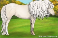 Horse Color:Silver Amber Cream Champagne Pearl