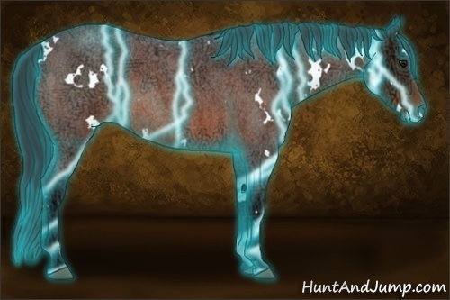 Horse Color:Thunderstruck White Spotted Bay Ice Roan 