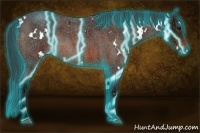 Horse Color:Thunderstruck White Spotted Bay Ice Roan 