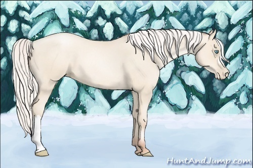 Horse Color:Silver Amber Cream Champagne Pearl 
