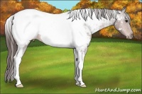 Horse Color:Bay Tobiano Near Fewspot