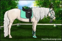 Horse Color:Gold Cream Champagne Pearl 