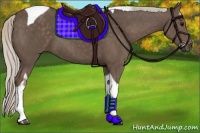 Horse Color:Silver Black Tobiano