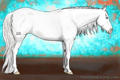 Horse Color:Silver Buckskin Pearl Appaloosa 