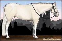 Horse Color:Silver Amber Cream Champagne Pearl Tobiano