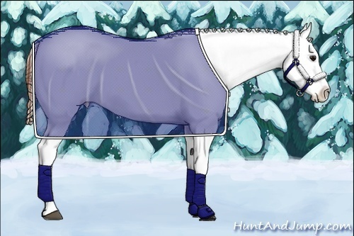 Horse Color:Bay Splash Snowflake Varnish 