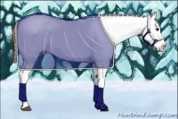 Horse Color:Bay Splash Snowflake Varnish 