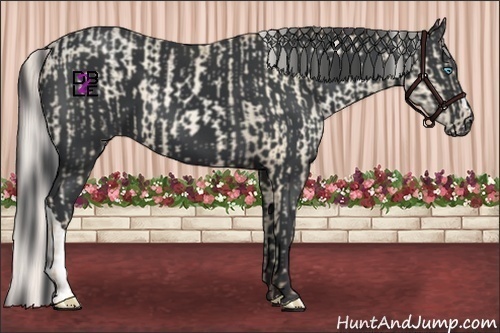 Horse Color:Silver Sable Cream Champagne Pearl  and Black 