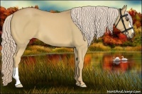 Horse Color:Palomino