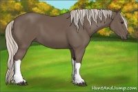 Horse Color:Silver Black 