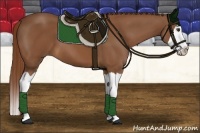 Horse Color:Chestnut Splash 