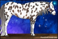 Horse Color:White Spotted Liver Red Roan Splash Leopard