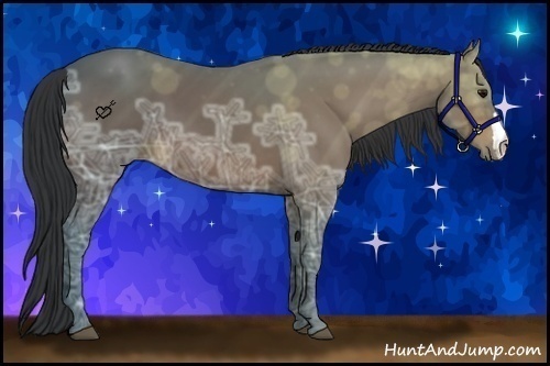 Horse Color:Bay Ice